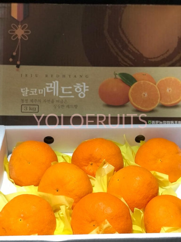 Cny23 Oranges - Korea Jeju Premium Gift Box 3Kg Redhyang