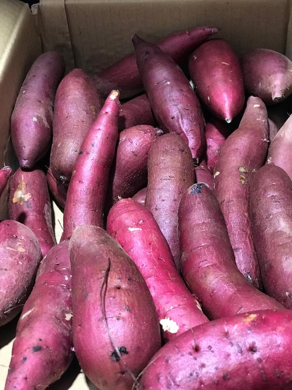 Japan Ibaraki Red Haruka Sweet Potatoes (~900-1kg)