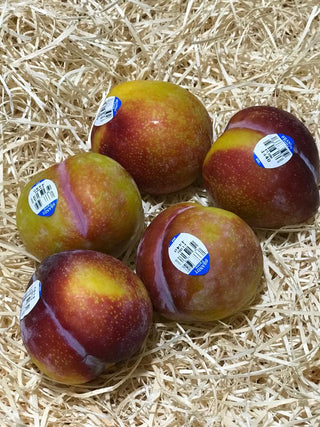 USA Plums Medium, Amber Jewel (Set of 5)