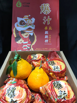 CNY24 Oranges - Lion Dance Chunjian Mandarin Oranges 爆汁春见耙耙柑