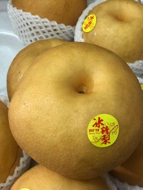 China Asian Pears / Rock Sugar Pear 冰糖梨 Jumbo (per piece)