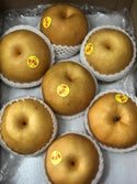 China Asian Pears / Rock Sugar Pear 冰糖梨 Jumbo (per piece)