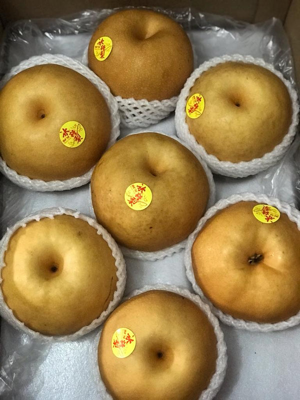 China Asian Pears / Rock Sugar Pear 冰糖梨 Jumbo (per piece)