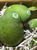 Indonesia Lily Avocado Mango (Per Piece)