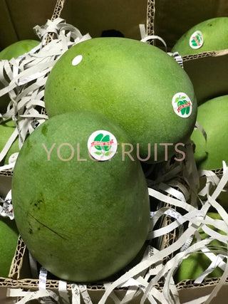 Indonesia Lily Avocado Mango (Per Piece)