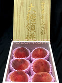 Japan Yamanashi Daitouryou Premium Momo Peaches Gold Gift Box Fresh Fruits & Vegetables