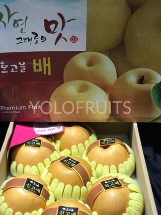 Korea Young Wha Super Jumbo Singo Pear