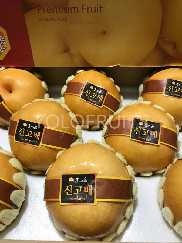 Korea Young Wha Super Jumbo Singo Pear