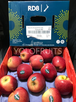 New Zealand Dazzle Apples Medium (Set Of 3)