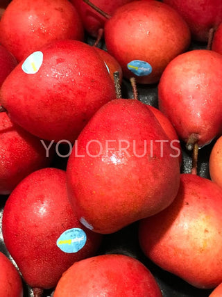 New Zealand Piqaboo Pears (Set Of 3)