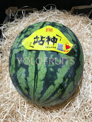 Red Watermelon (Japan Breed)