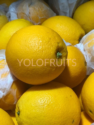 South Africa Cara Oranges (Set Of 5) Fresh Fruits & Vegetables