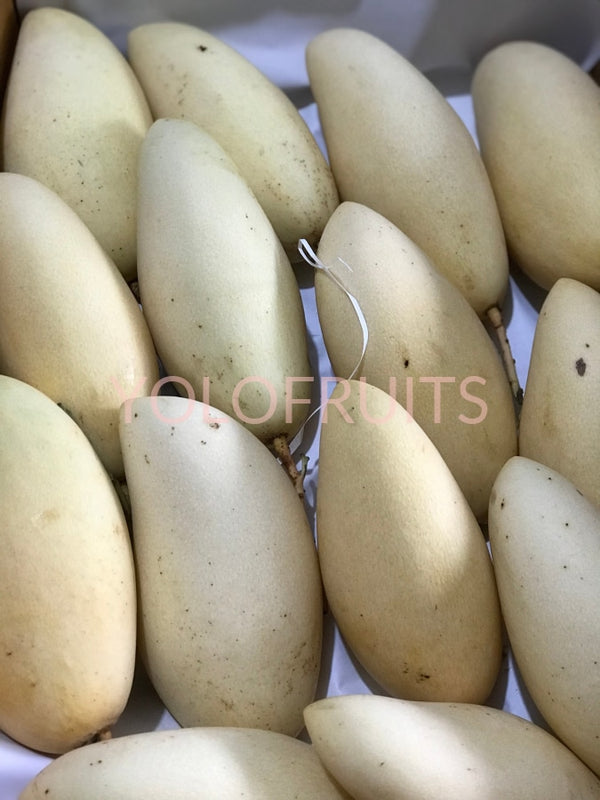 Thailand Honey Mango Large (Set Of 3) Fresh Fruits & Vegetables