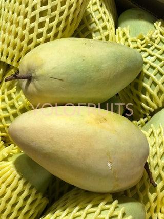 Thailand Jin Huang / Kate Mango (Set Of 3) Fresh Fruits & Vegetables