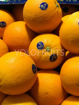 Usa Blue Jay Late Navel Oranges Jumbo Autumn Gold (Set Of 4) Fresh Fruits & Vegetables