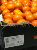 Australia Dandy Seedless Small Mandarins (Set Of 8)