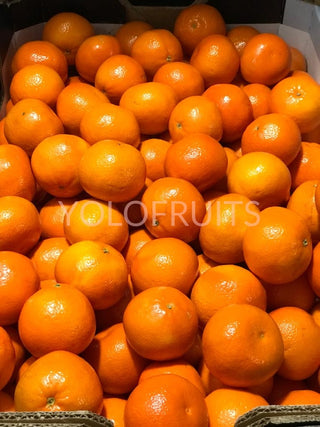 Australia Dandy Seedless Small Mandarins (Set Of 8)