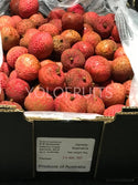 Australia Lychees - Kaimana