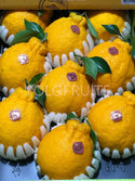 Cny Oranges - Korea Jeju Jesmerize Hallabong Gift Box 3Kg