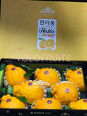 Cny23 Oranges - Korea Jeju Jesmerize Hallabong Gift Box 3Kg