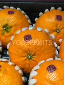Cny Oranges - Korea Jeju Jesmerize Red Pearl Gift Box 3Kg