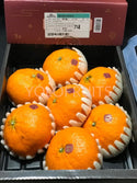 Cny Oranges - Korea Jeju Jesmerize Red Pearl Gift Box 3Kg