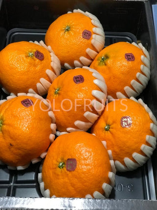 Cny Oranges - Korea Jeju Jesmerize Red Pearl Gift Box 3Kg