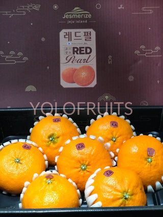 Cny Oranges - Korea Jeju Jesmerize Red Pearl Gift Box 3Kg