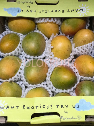 Colombia Baby Sugar Mangoes Per Carton ~2Kg