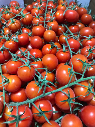 Morocco Tomatoes-on-vine (~500g)