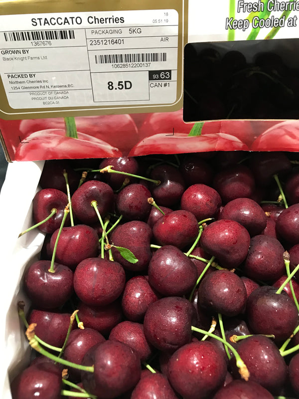 Canada Red Cherries 8.5R, Staccato