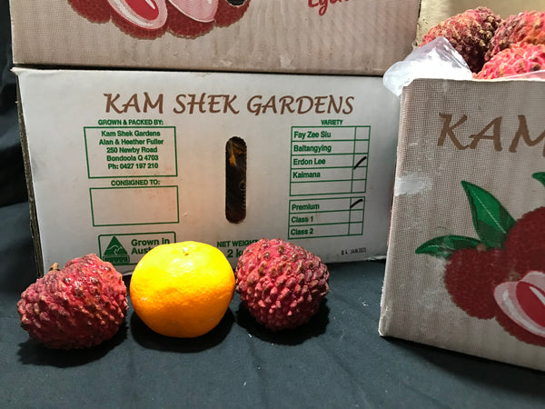 Australia Lychees - Dragon Egg / Erdon Egg Gift Box 2kg