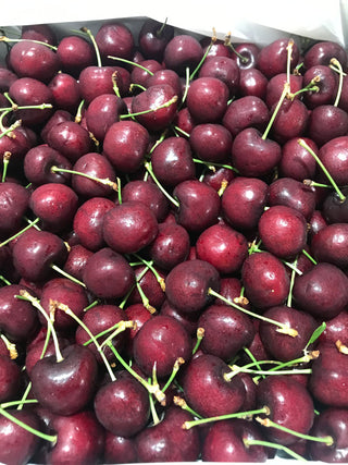 Canada Red Cherries 8.5R, Staccato