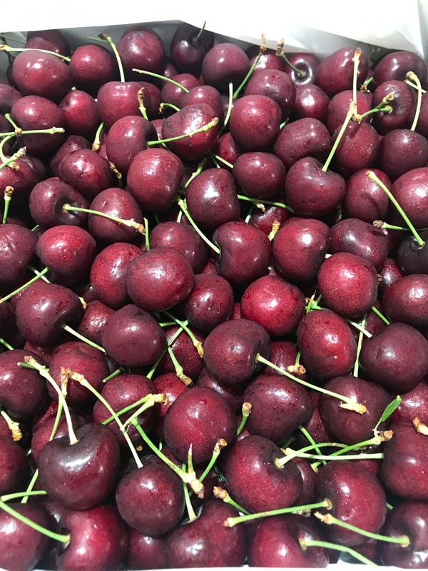 Canada Red Cherries 8.5R, Staccato