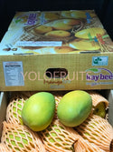 India Alphonso Mango (Set Of 2) Per Box 12S