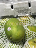 India Banganapalli Mango (Set Of 2)