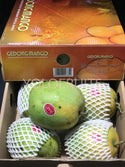 Indonesia Gedong Gincu Mangoes Set Of 2