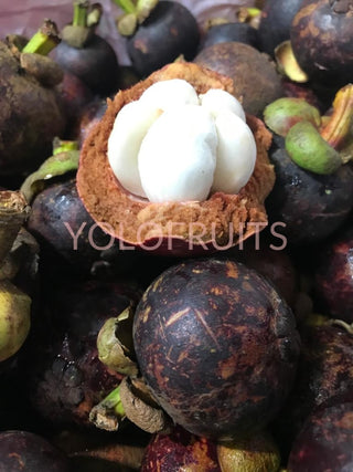 Indonesia Mangosteens (~1Kg)