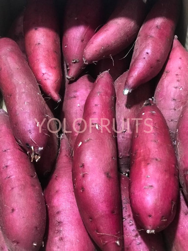 Japan Namegata Kansho Sweet Potatoes (~1Kg)