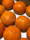 Japan Kumamoto Kuroama Black Sesame (Black Flesh) Persimmons Jumbo (Per Piece) Fresh Fruits &