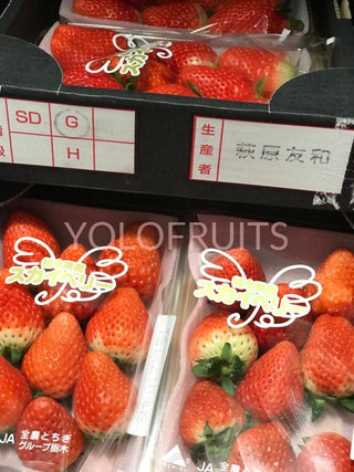 Japan Tochigi Skyberry Strawberries (Per Tray)