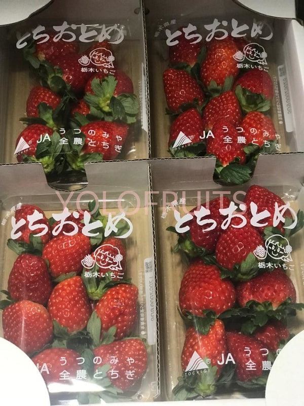 Japan Tochigi Tochiotome Strawberries (Per Tray ~280G)
