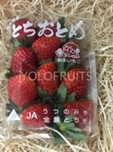 Japan Tochigi Tochiotome Strawberries (Per Tray ~280G)