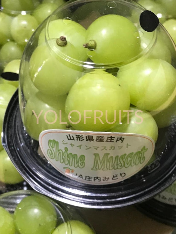 Japan Yamanashi Premium Shine Muscat Grapes (Per Box 150G)