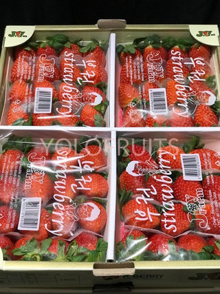 Korea Joyfarm Strawberries (Per Punnet ~330G) Fresh Fruits & Vegetables