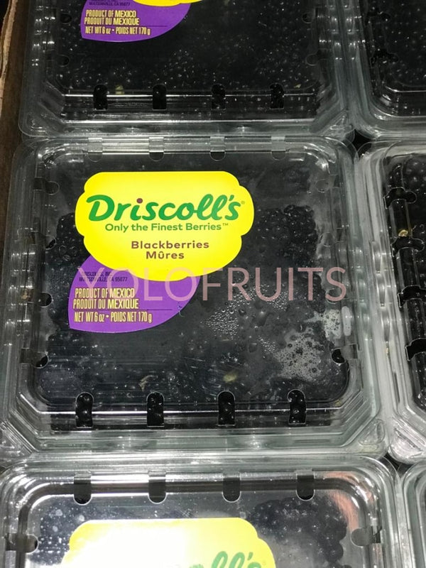 Mexico Driscolls Blackberries (Per Punnet)