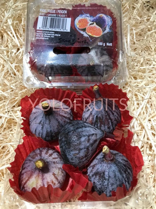 South Africa Figs