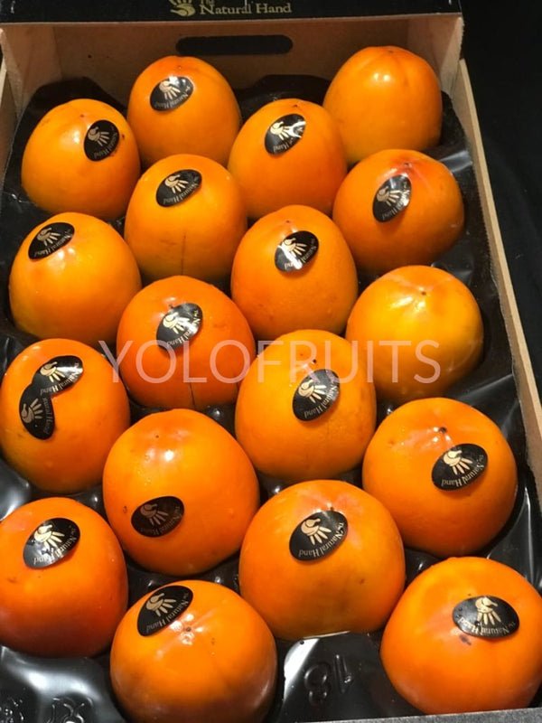 Spain Kakis / Persimmons X-Large (Set Of 3)