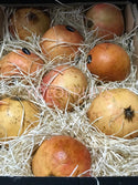 Spain Mirlo Pomegranates Jumbo Mollar Fresh Fruits & Vegetables