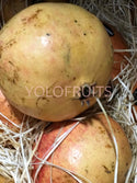 Spain Mirlo Pomegranates Jumbo Mollar Fresh Fruits & Vegetables